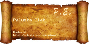Paluska Elek névjegykártya